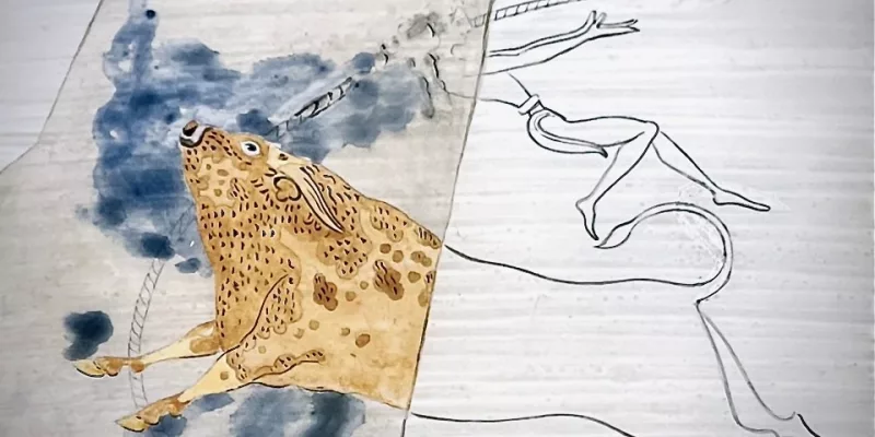 Παράσταση ταυροκαθαψίων από την Κνωσό.